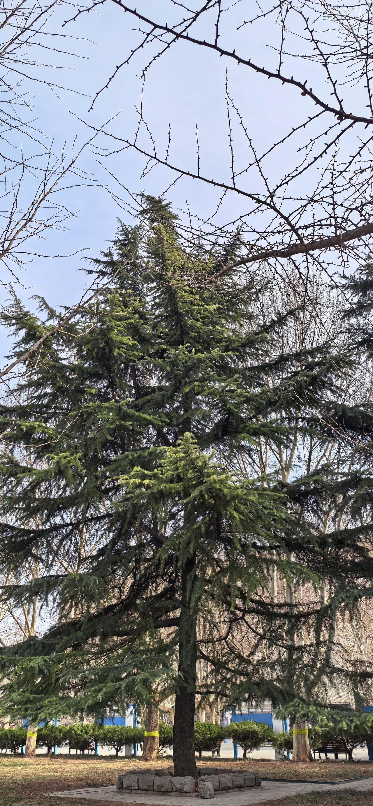 美好的春天 一切都是新的