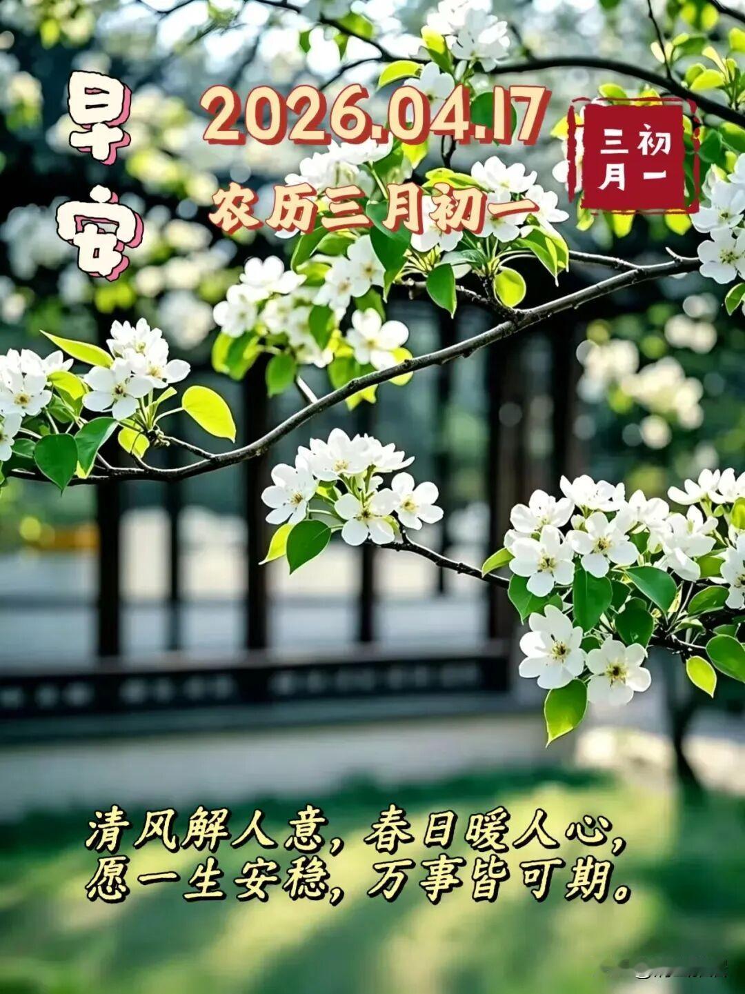 今年春天最想实现的心愿沈阳虽然已经到了春天，但是早上依然冷飕飕的，多希望能有一个