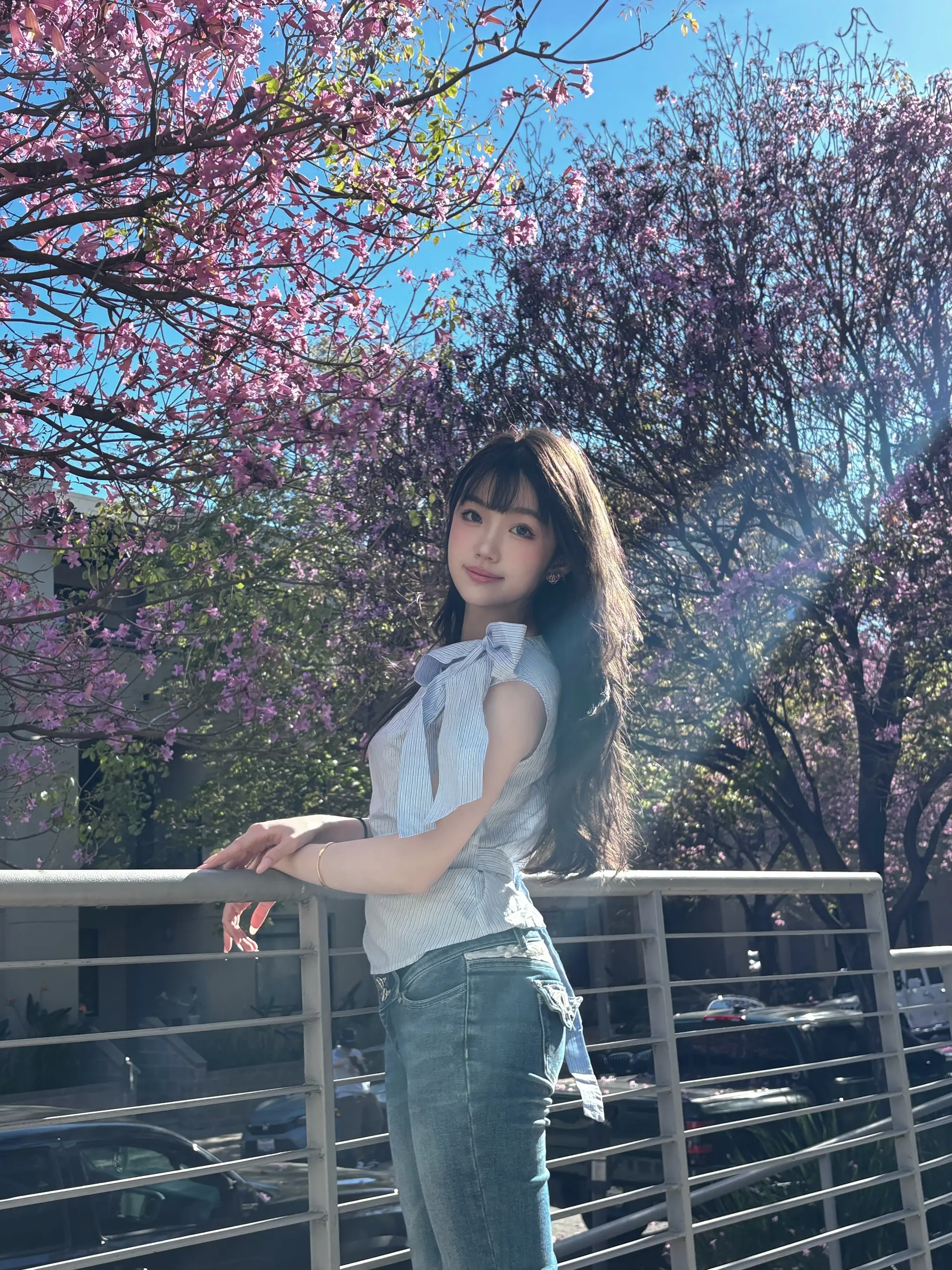 风铃花开。