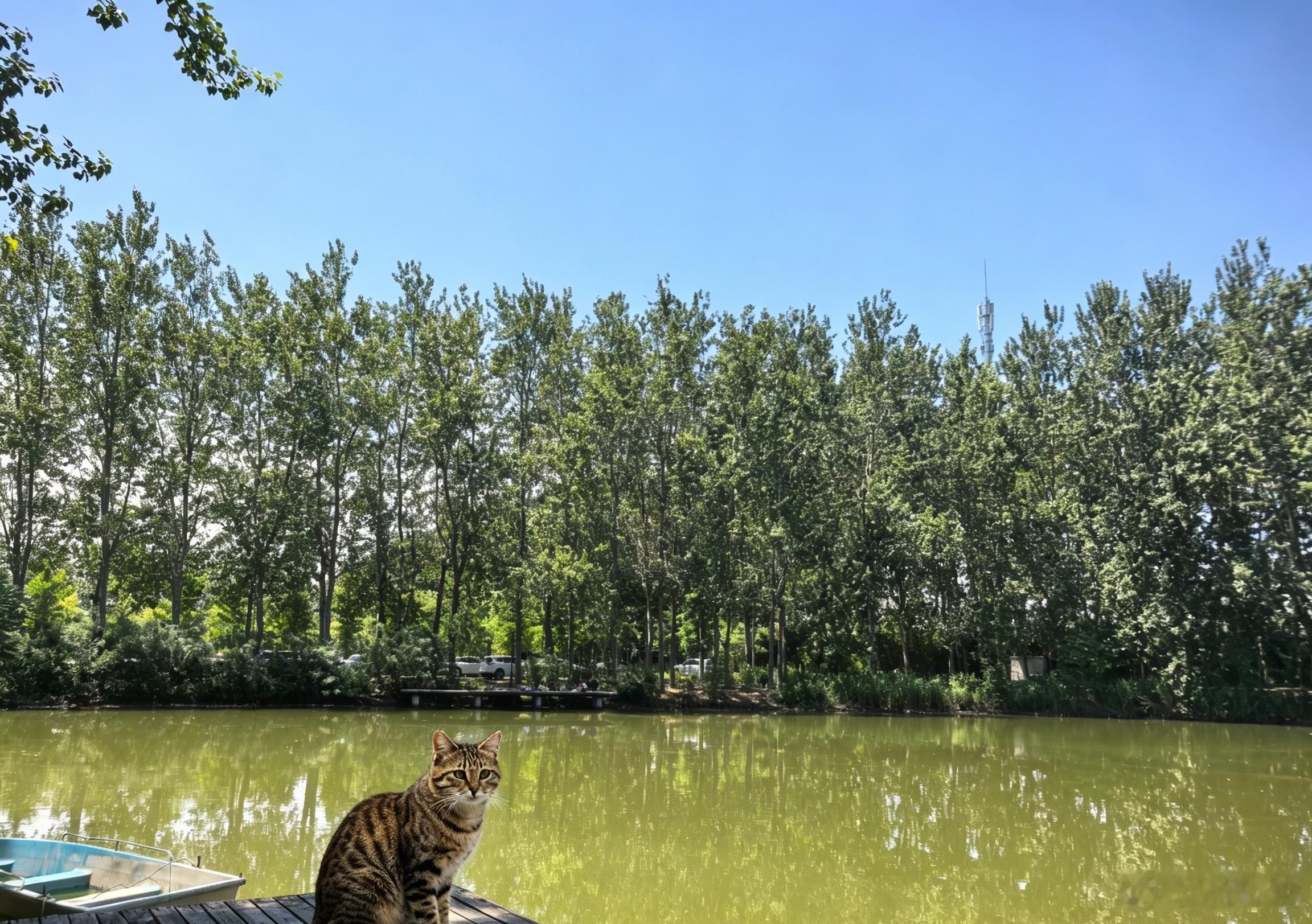 客携南美粉红波旁豆来，色如玛瑙，碾之闻异香。瀹以新泉，汤色浮金，初啜有莓露之甘，