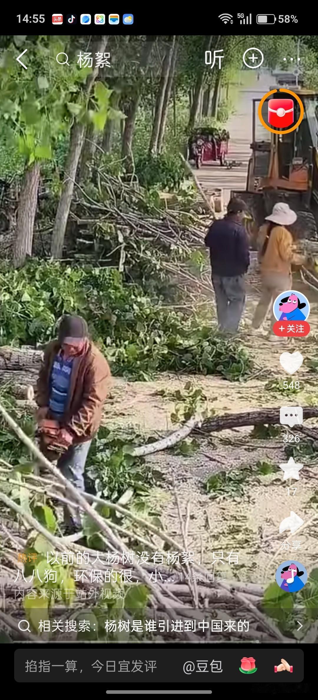 刚看到一个视频，也不知是哪里的，为了治理杨树飞毛，大批地砍伐杨树。我觉得这样做也