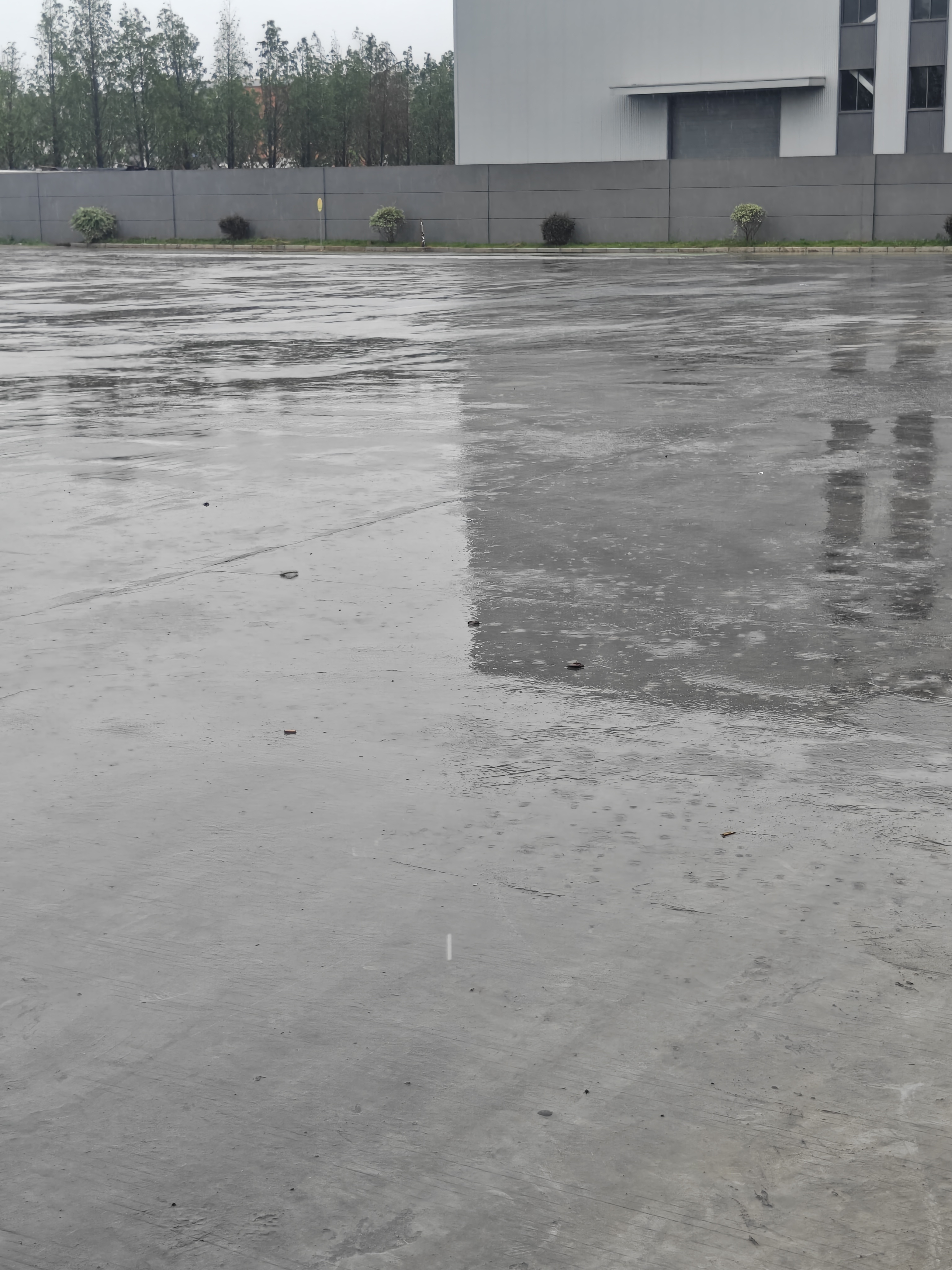 台风巴威到安徽了是的好大的风，好大的雨🌧️🌧️下班骑车回家一定要注意安全！ 