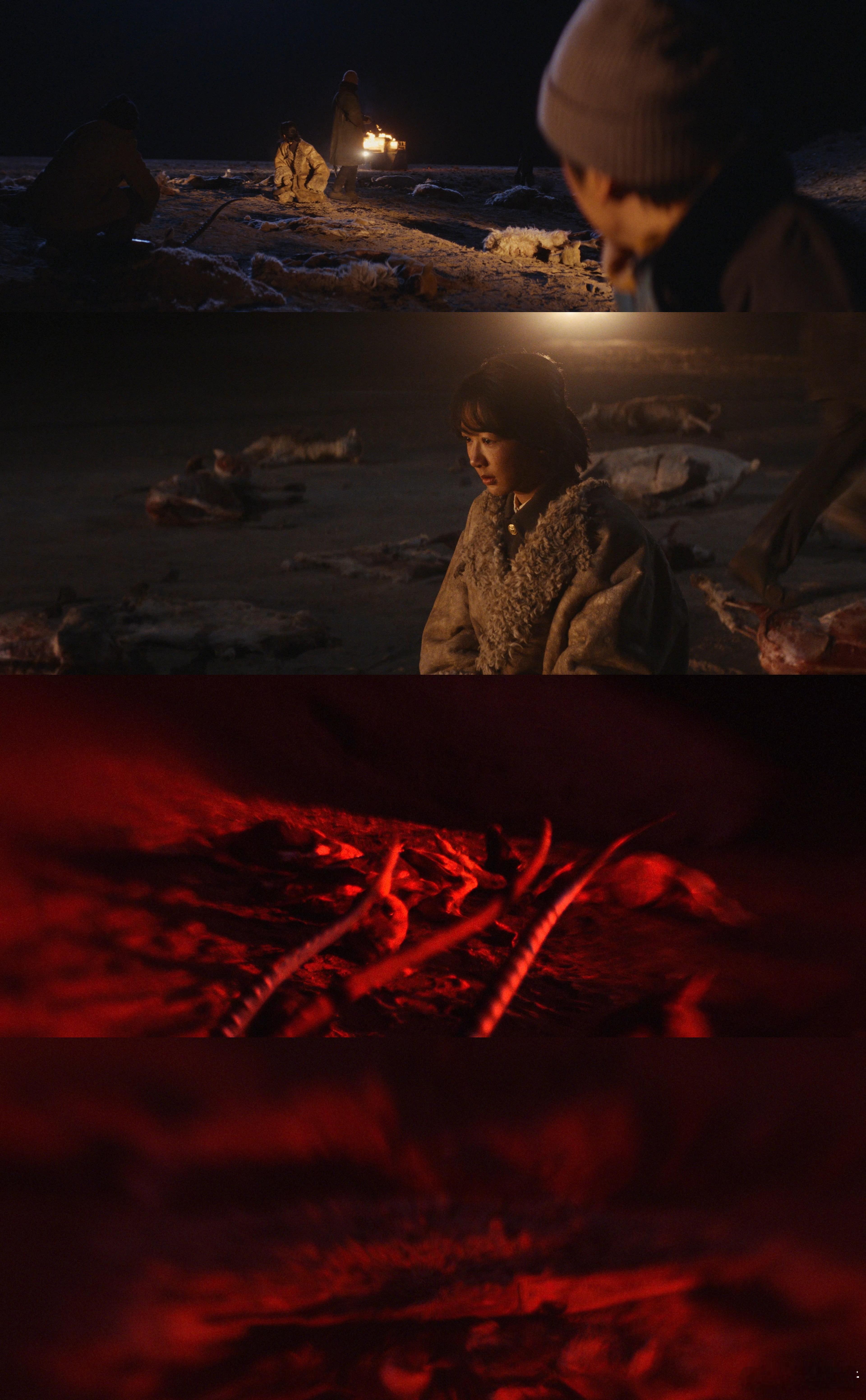 别人经济开发博拉木拉羊皮乱扒 为巡山小队捏一把汗！《生命树》里他们闯险地、正面刚