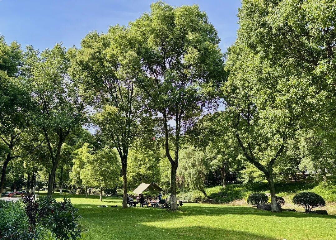 【🌸再见春天，👋你好盛夏！】桐庐明日（5月11日）入夏，首日最高温冲32℃。