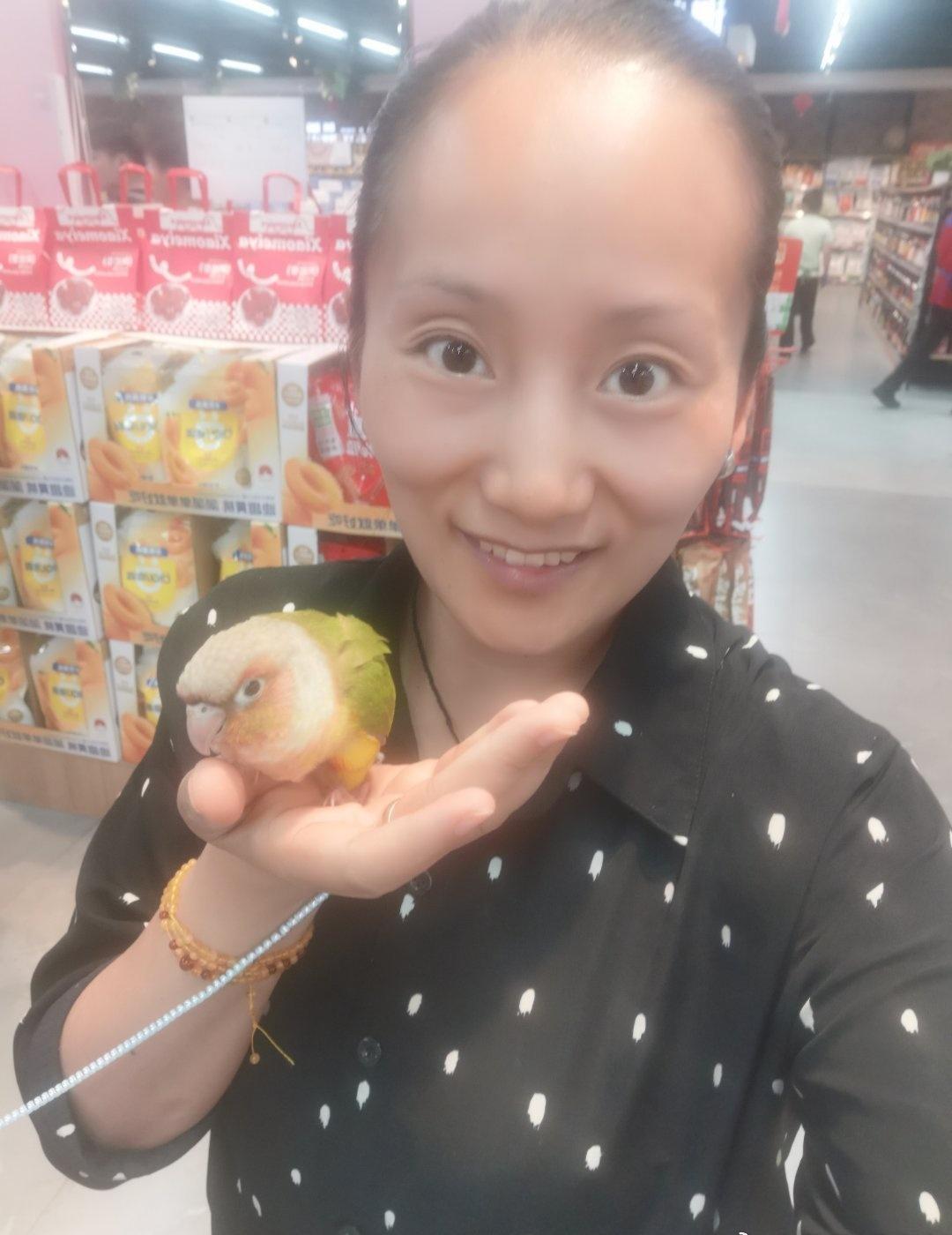 [害羞][月亮][爱慕]特别喜欢小动物，好可爱的小鹦鹉，合个影！………我这眉骨处