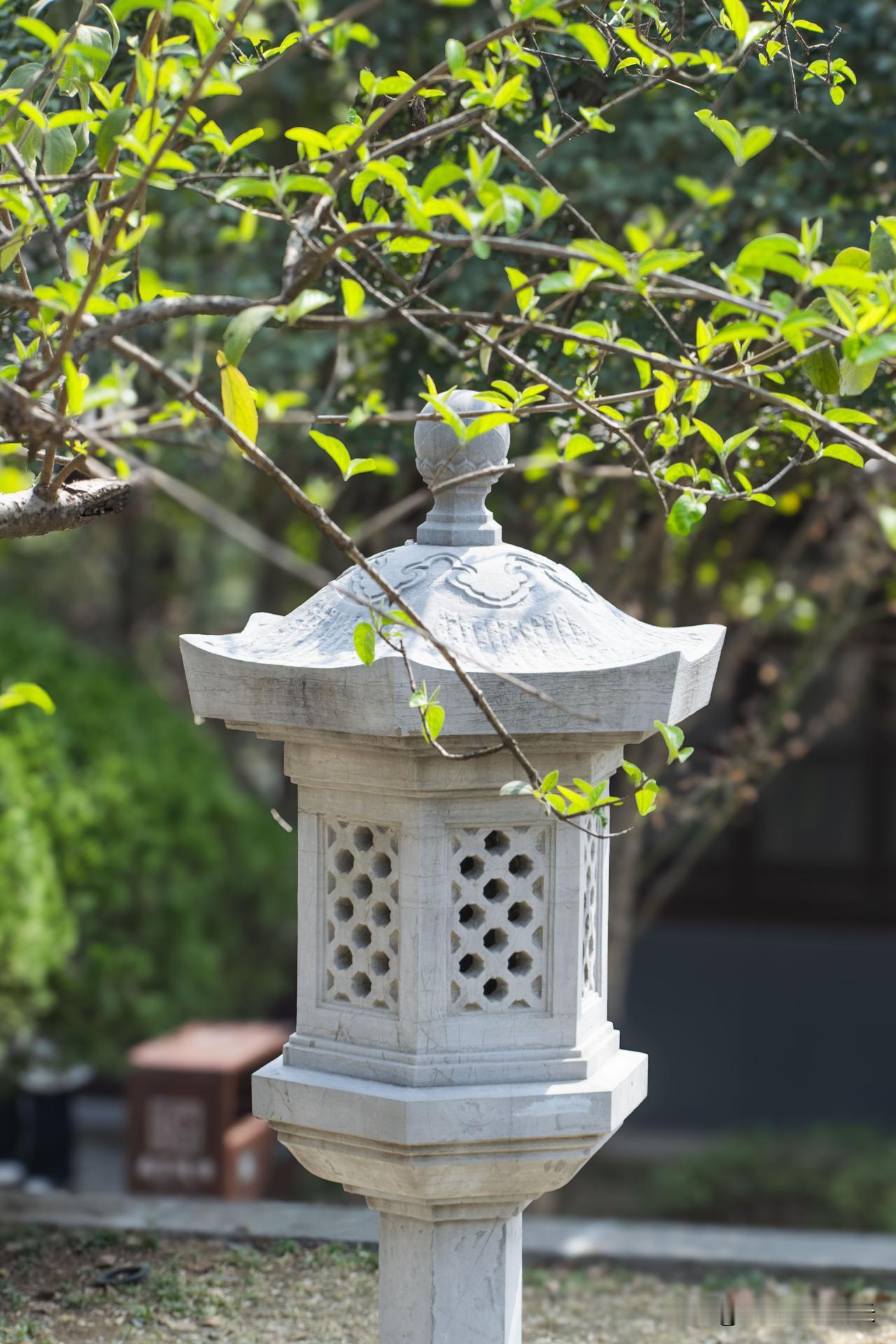 走过半生,回首人生,有何感悟?
退休后的日子里
都藏着几分从前的匆忙
我们总以为