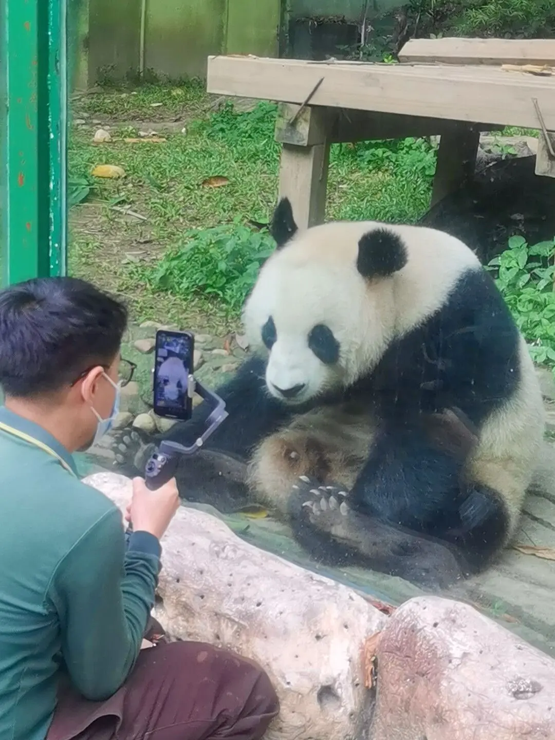呀这不是十公主吗😄