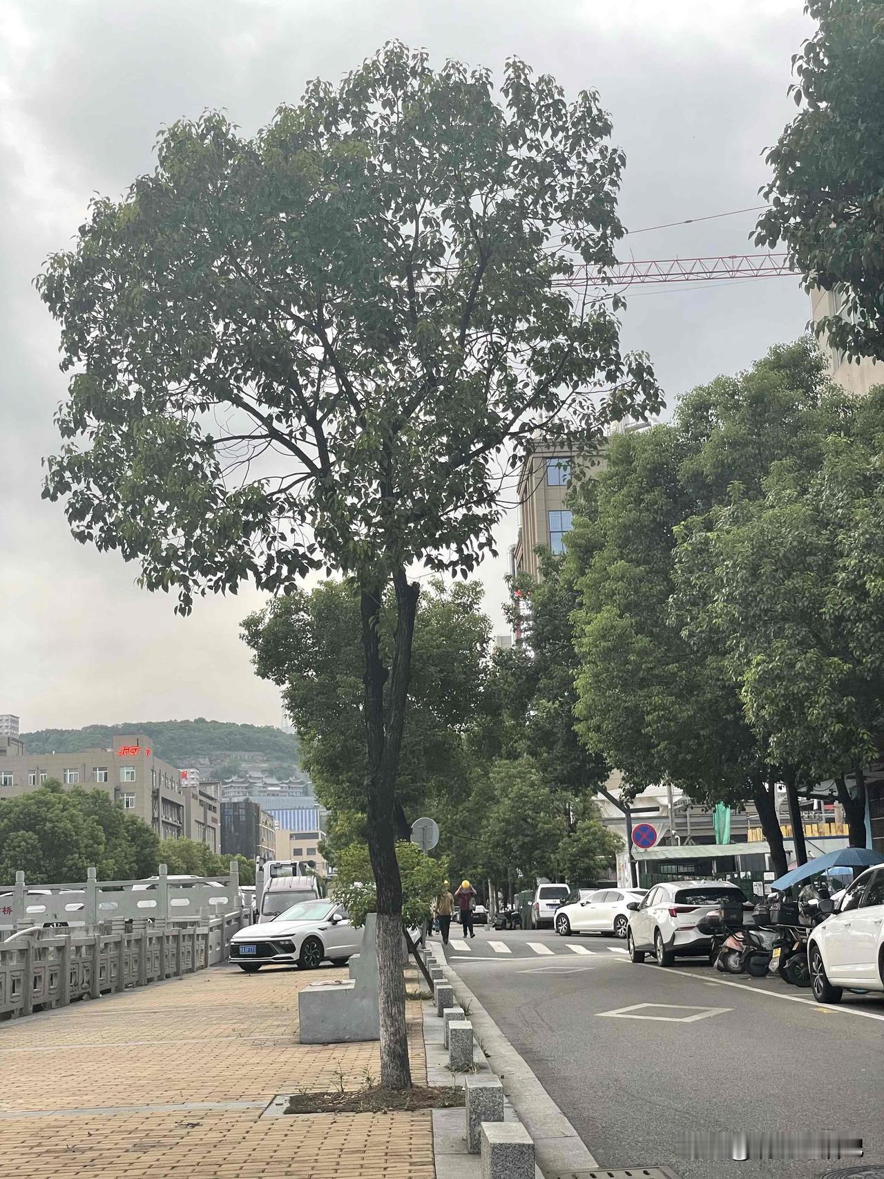 一直不理解一件事儿，很多安卓手机5000万像素拍照效果远不如苹果4800万像素，