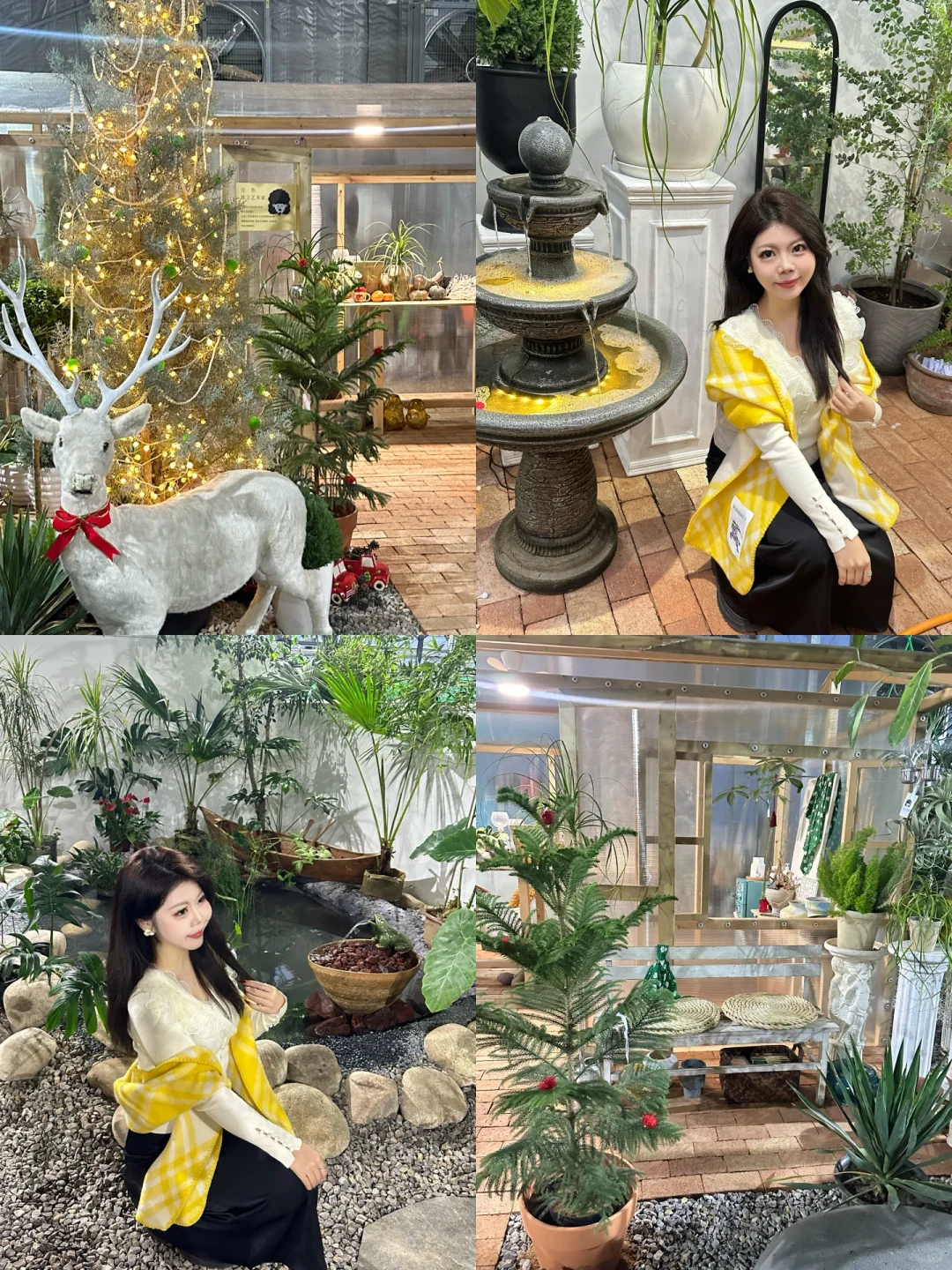 石家庄！！新晋拍照打卡📷小院太美啦