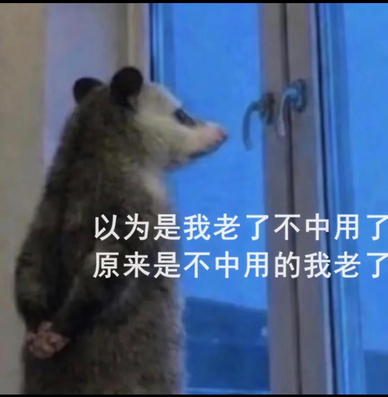 以为是我老了不中用了，原来是不中用的我老了！