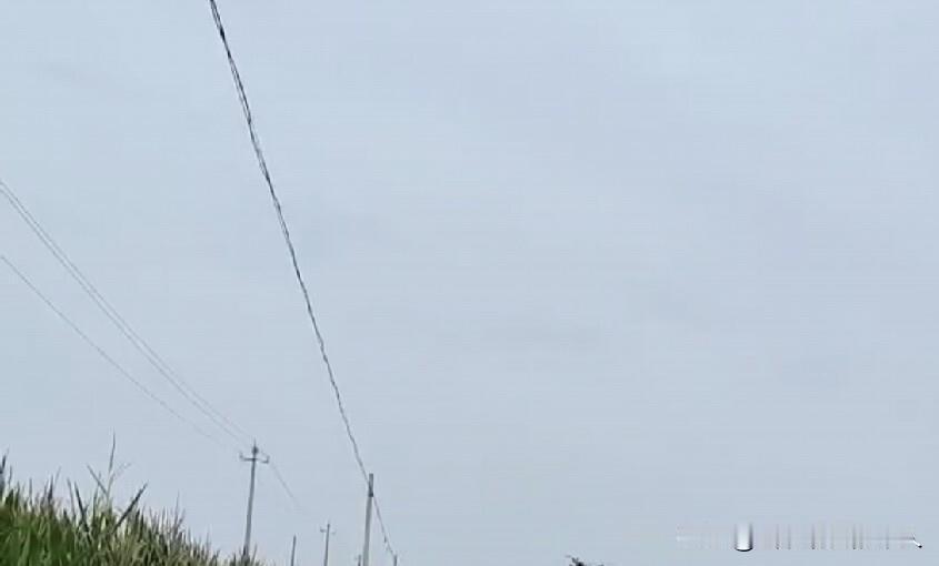 无人机打药转运车
轧倒四棵玉米
大姐拦车
要价十元一棵
赔完四十元
村民纷纷摇头