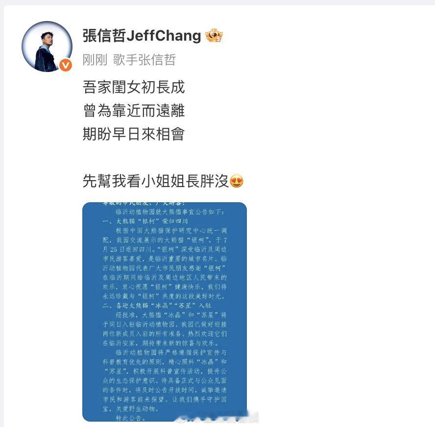 谁还不知道 张信哲有一只大熊猫女儿  ！大熊猫冰晶入驻临沂动物园， 发文分享感受