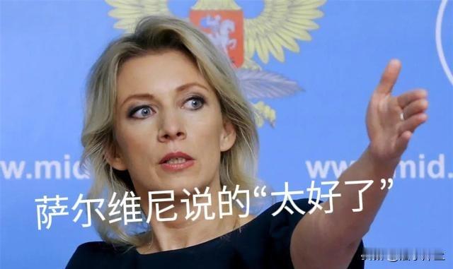 一向语言犀利的美女发言人扎哈罗娃，罕见“表扬”意副总理萨尔维尼：他说的太对了！萨