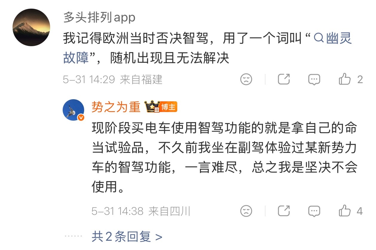 这个“幽灵故障”是纯视觉路线无法避免的问题，跟人的视觉一样的，你也会偶尔看错东西