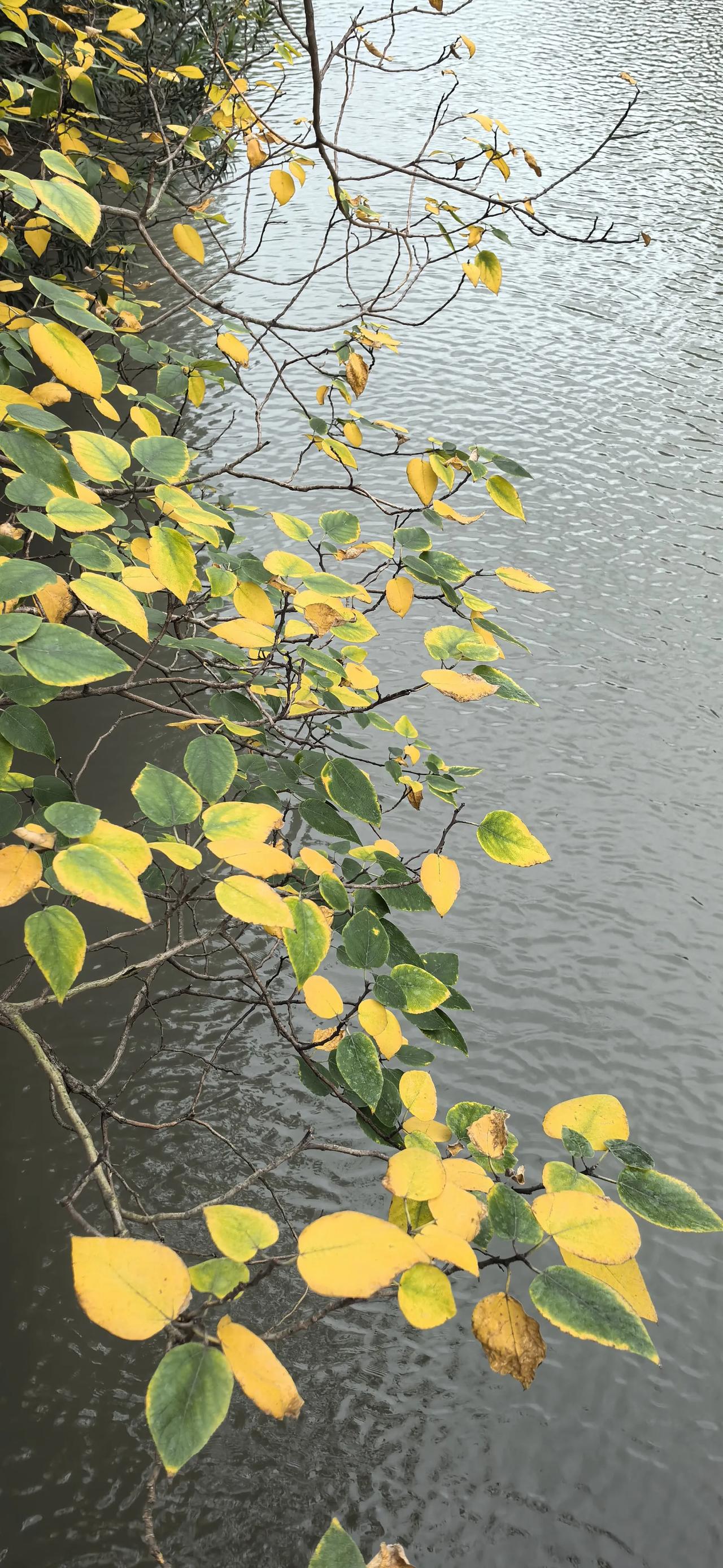 “赞”上海地铁站台上的工作人员

7号线上来，要换12号线

我顺着路牌走到12