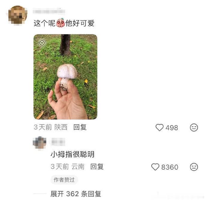 可以出一本鉴别蘑菇的书籍了 《十万个冷笑话之蘑菇篇》 