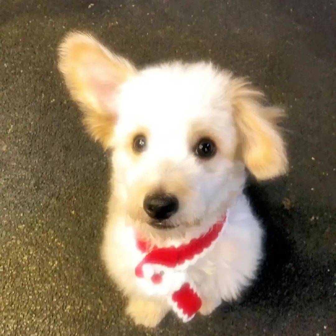 认真生活的人，总会被生活温柔以待。 