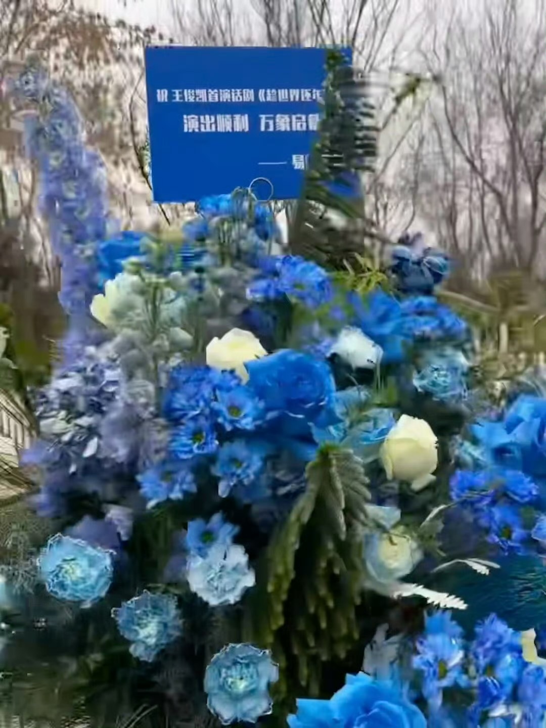 易烊千玺给王俊凯话剧送了花篮“演出顺利 万象启蒙”还是蓝色的花篮王俊凯工作室你让