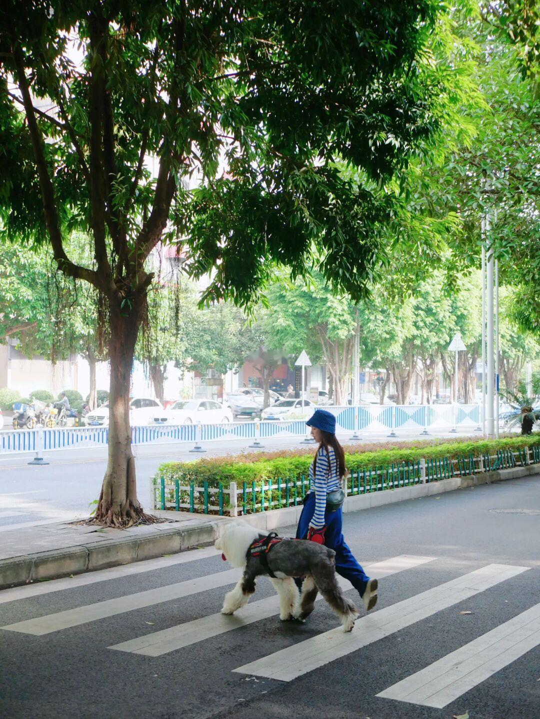 想看一下，大家和狗子的合照