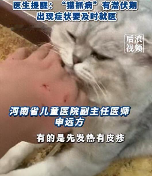 🐒河南12岁男孩被自家猫咬伤脸扎3孔，因出血不多家人没在意，次日上学老师发现异