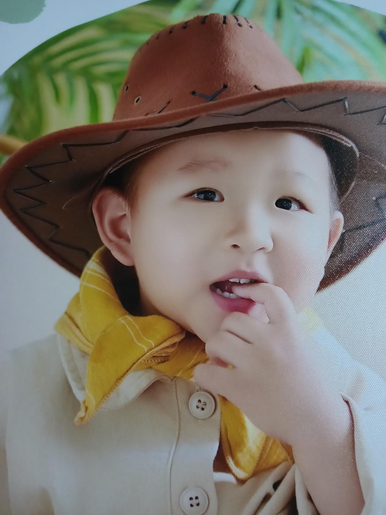 丙午新岁马呈祥，心寄孙儿马向阳。
愿尔如马添锐气，前程策马自昂扬。
岁岁平安马踏