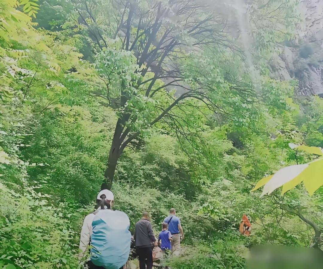 你们看到这样的环境会害怕吗？反正我会。
不知道程梦圆有多大的胆子，一个女孩子，孤