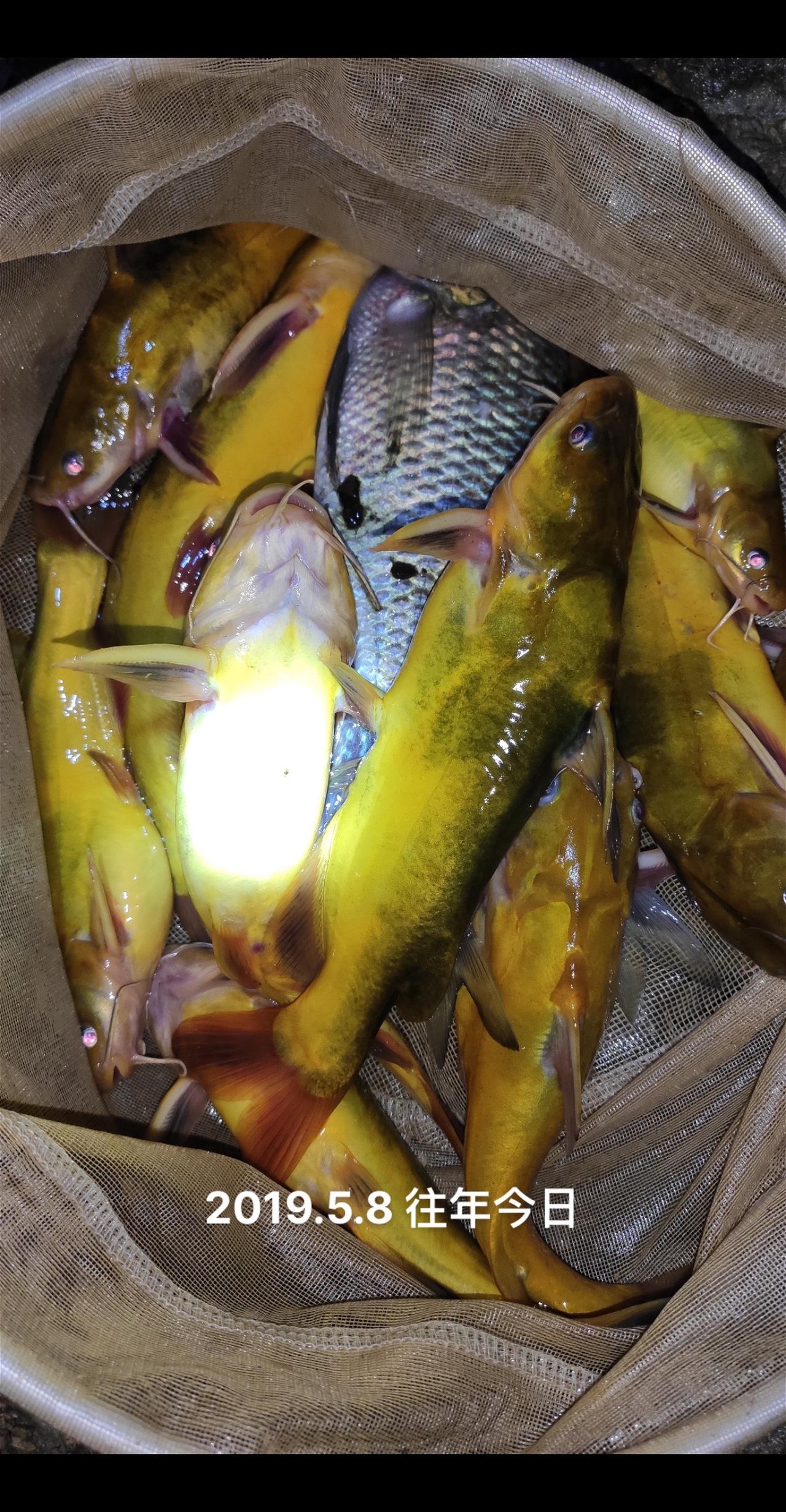 就是这个季节了，准备好手竿了#钓鱼人 #钓鱼的乐趣只有钓鱼人懂