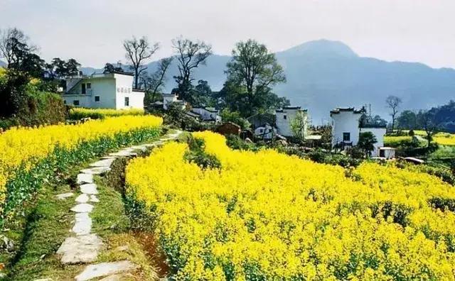 “爹味”常表现为居高临下的姿态。

比如有些长辈在年轻人求职时，不顾当下就业市场