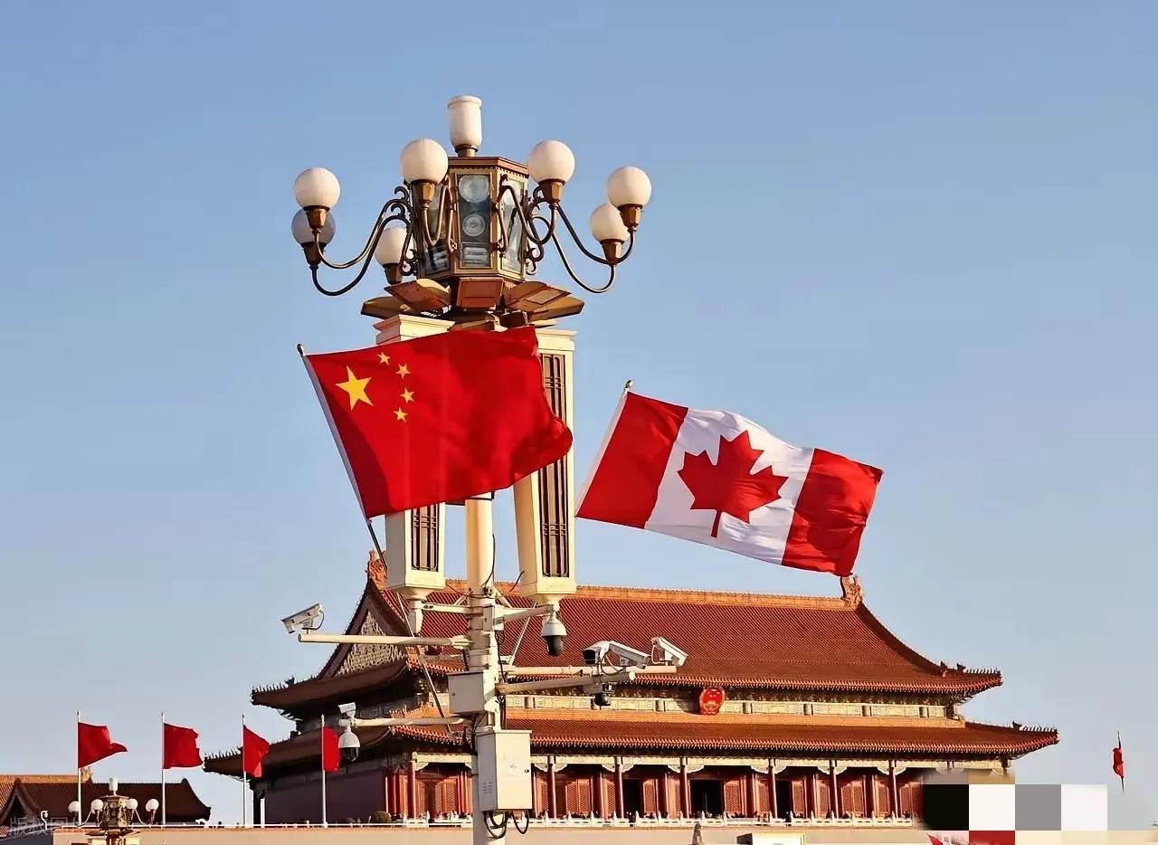 加拿大总理卡尼表示：“在格陵兰问题上，加拿大和中国‘高度一致’。”这句话一说，引