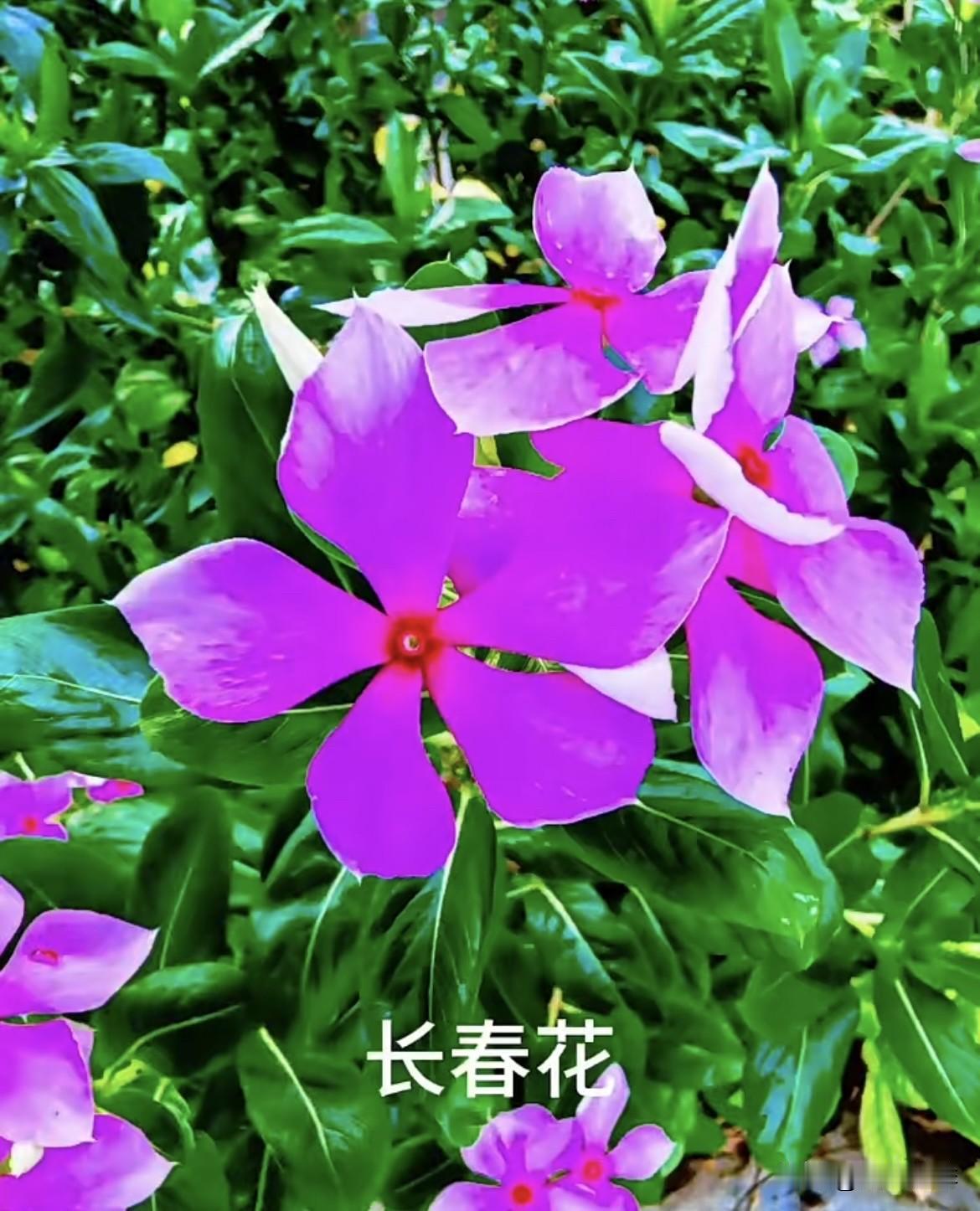 请你对下联
   上联：踏春夏秋冬路
   下联：赏一年四季景