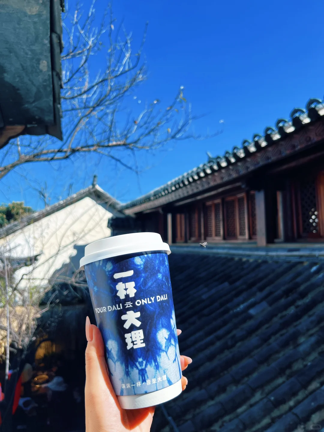 好适配！！带上