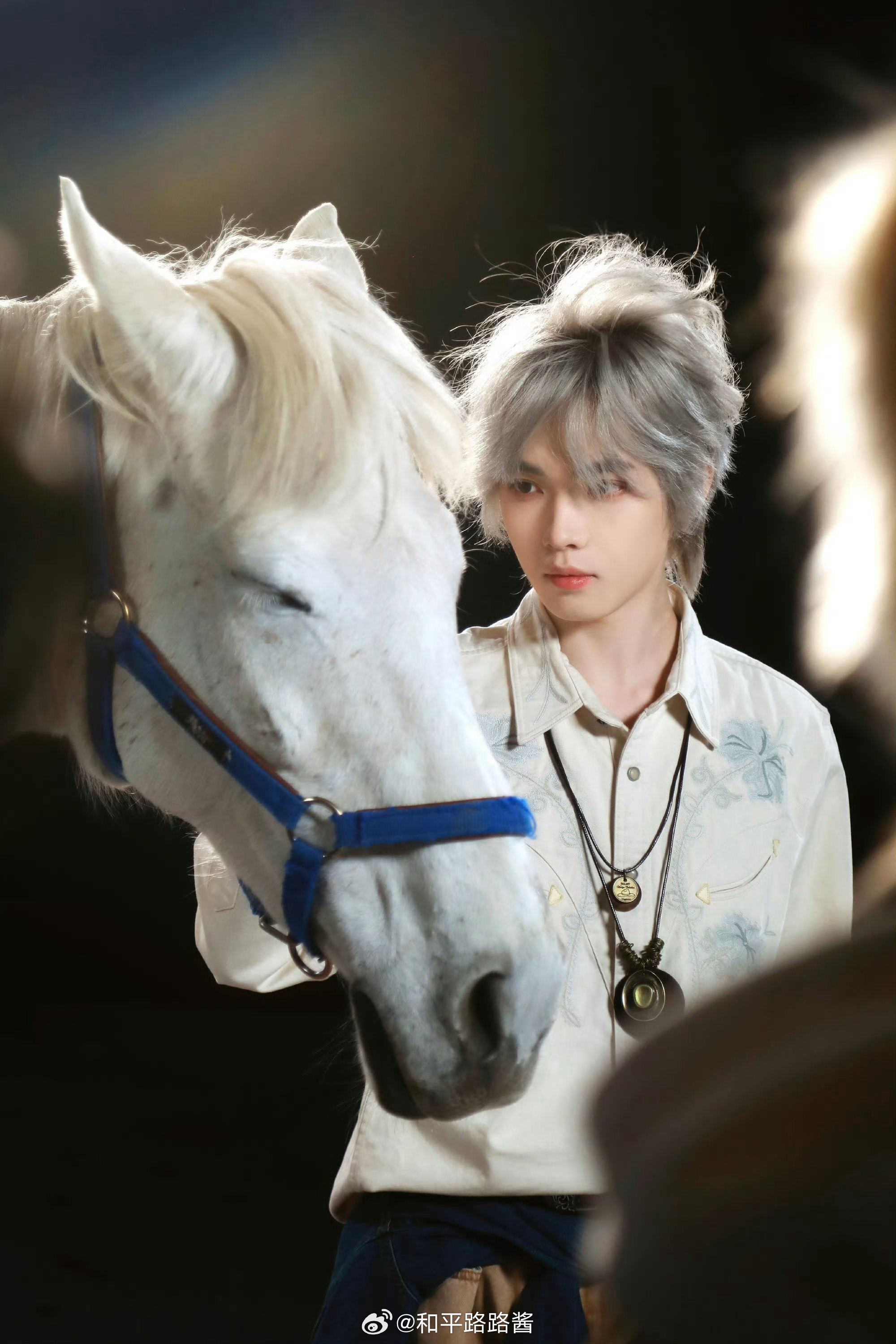 真正的白马王子！！！支持再抖抖存货五号相机 2026PEL春季赛