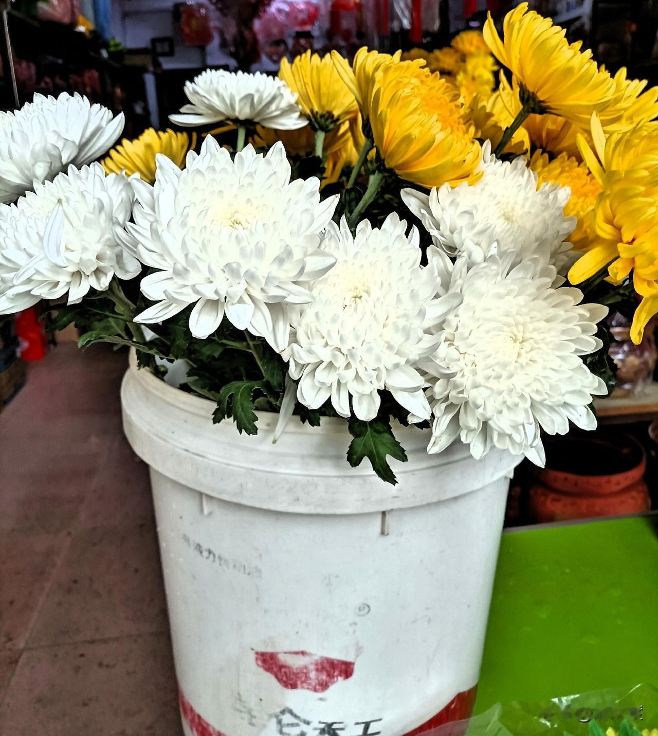 遥念父亲
2026年4月4日，晴。

今天是个静默的日子。

天空终于放晴了。妈