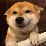 阳光嫩捧汽车