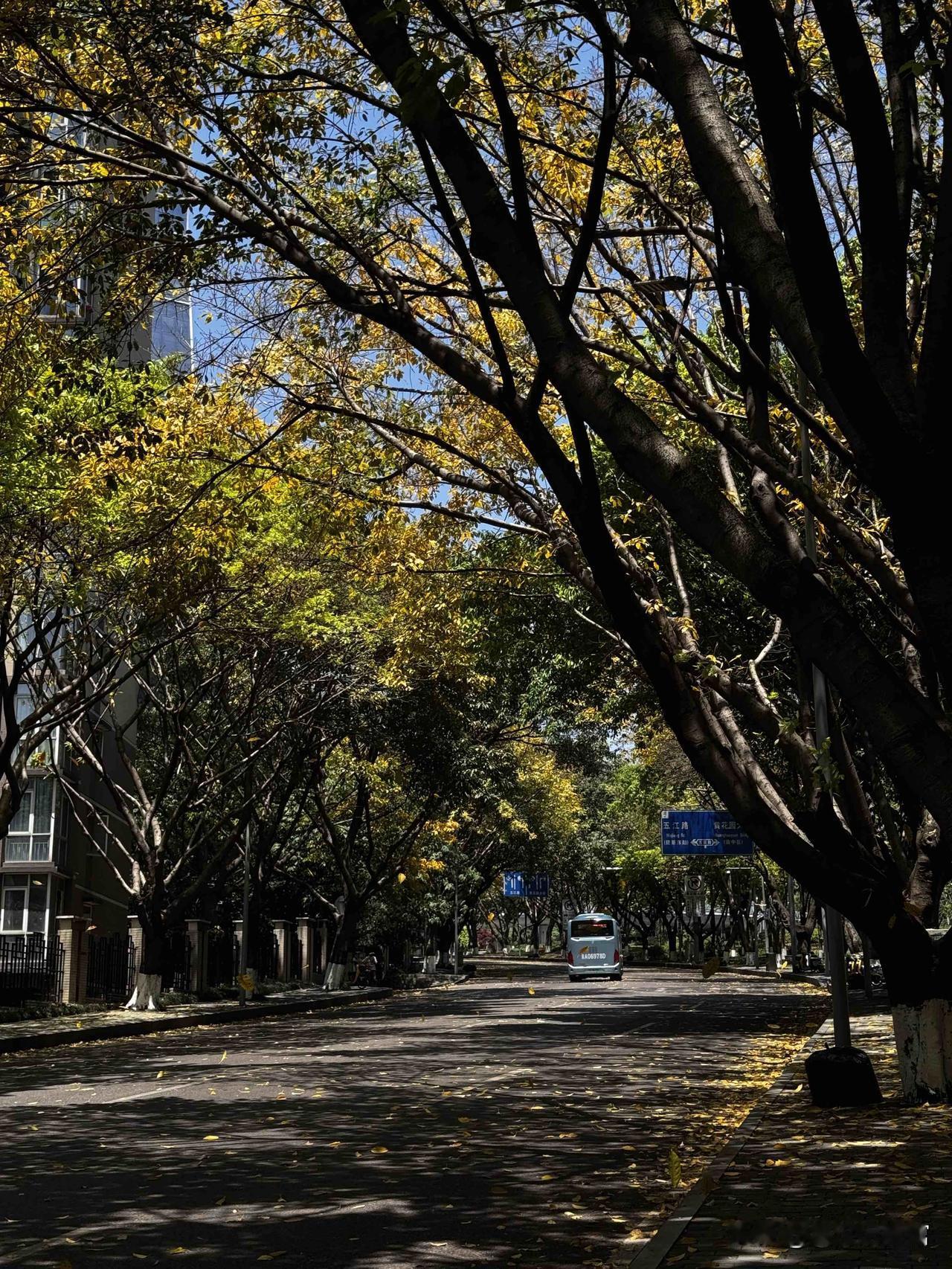 互助养老不再让子女牺牲式尽孝，核心就三点，感觉很有人情味，不强制子女辞职陪护，反