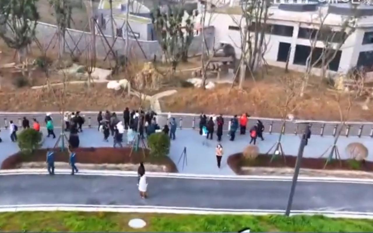 四川绵阳的大熊猫保护研究中心基地开启试运营，园区里游客们沿着步道驻足围观，人气满
