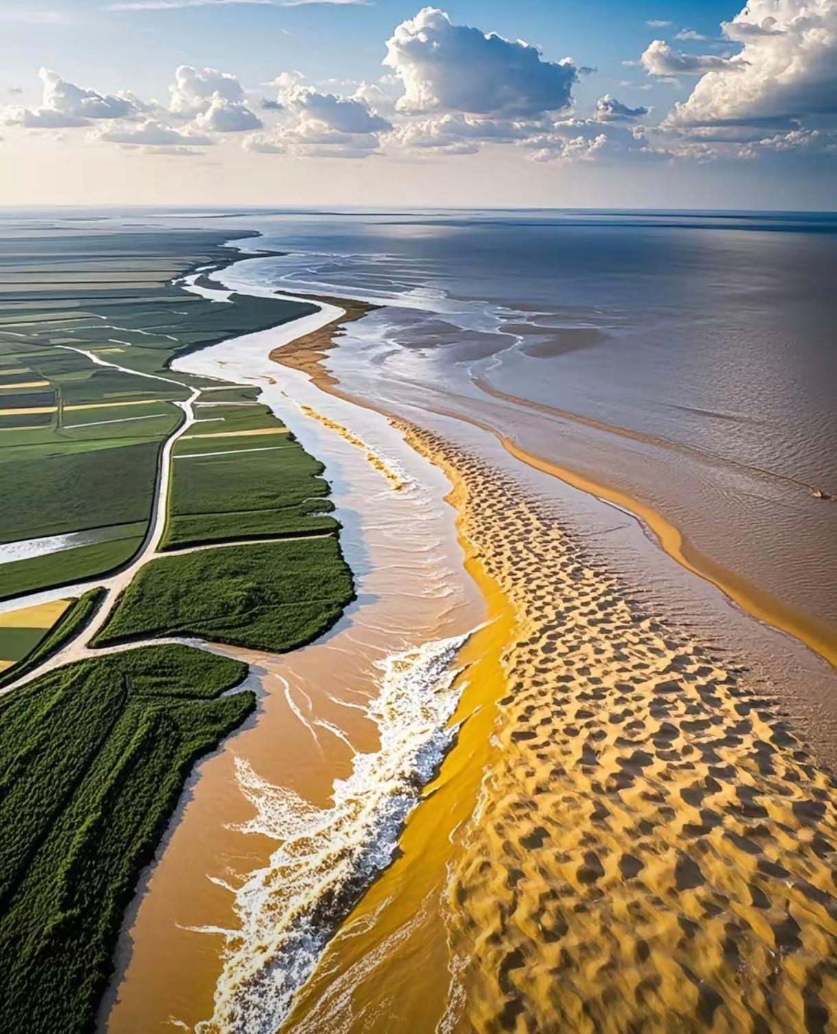 说真的，黄河总往渤海奔着入海，长期看真有点“亏”——含沙量那么大，填的是自家内海