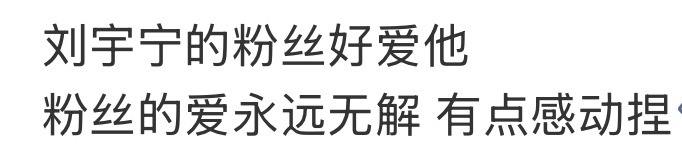看到一个视频里的荧光棒摆成了“LYN”,瞬间眼泪都出来了！因为现场不准带灯牌（大