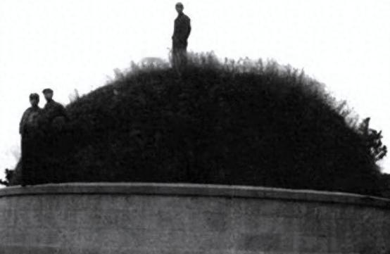 1946年2月3日凌晨三点，清凉山火葬场的工作人员被叫醒，然后被通知马上烧掉一具