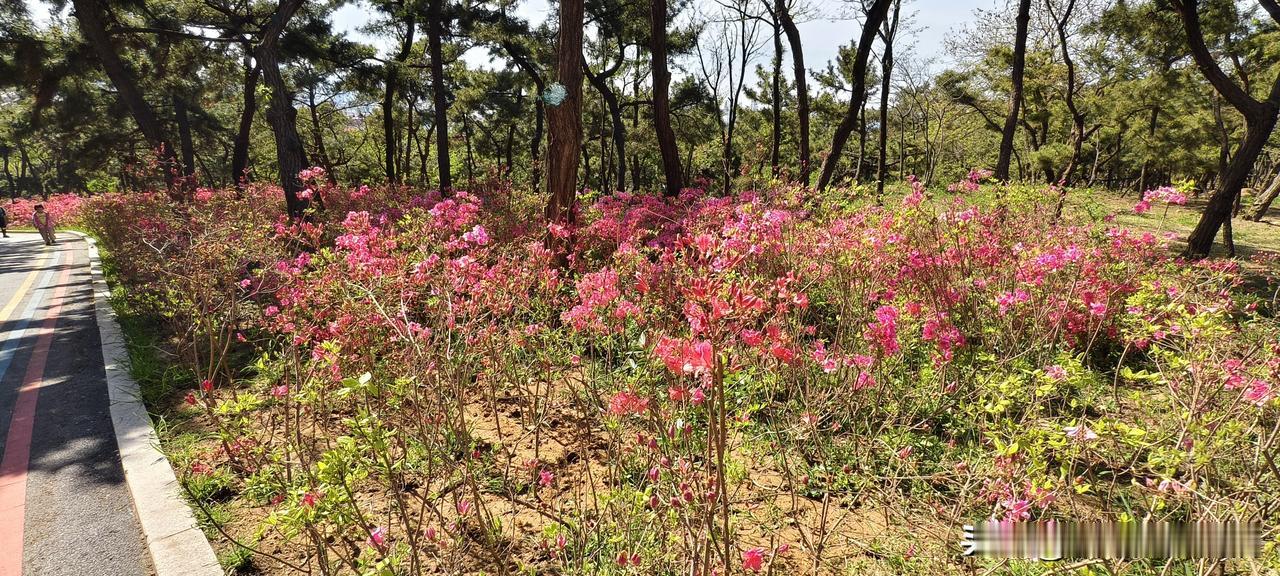 别信“领导不该发脾气”那套鬼话了，不发脾气的老好人连条狗都镇不住

今天翻到一本