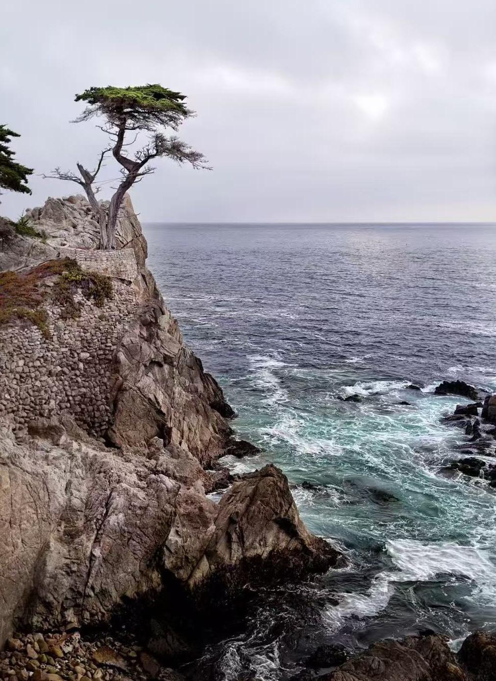 （随拍随言）
相约美国加州蒙特利
CaliforniaMarinaEVBolt,