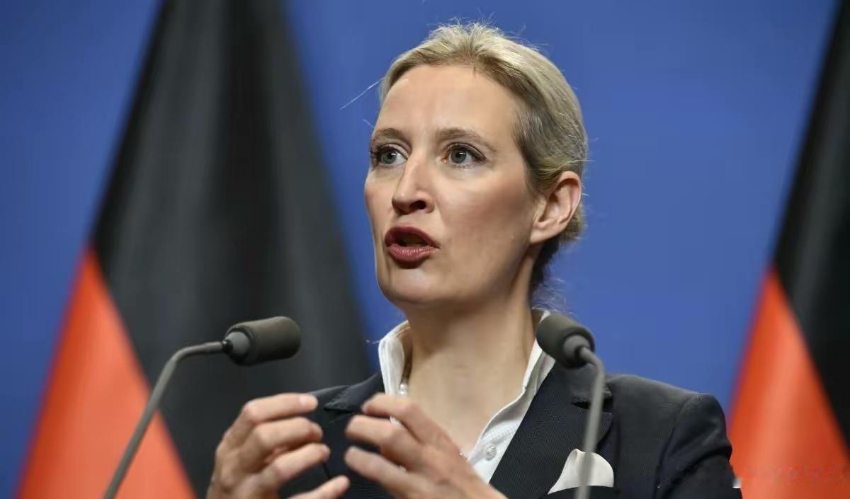 德国2026年预算投票现场，默茨政府带着5250亿欧元的预算案闯关，选择党领导人