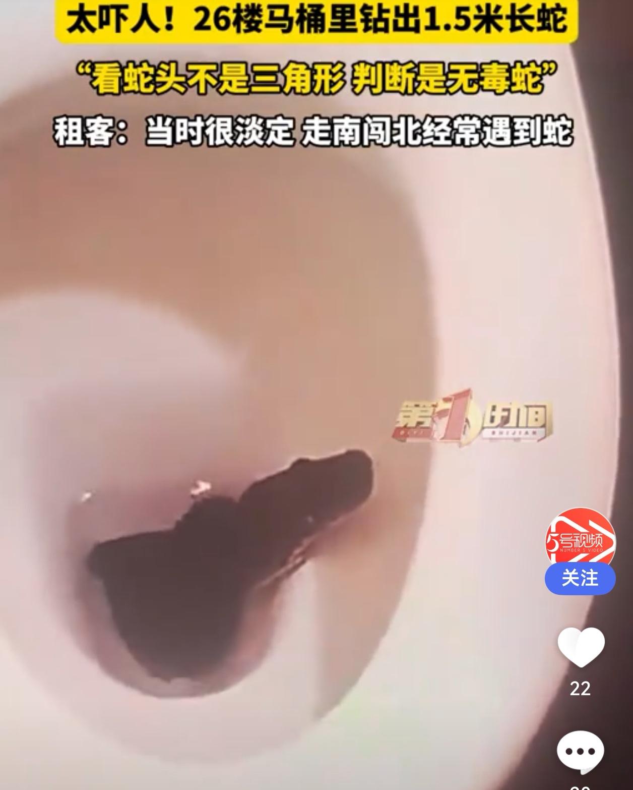 马桶惊现1.5米长蛇！成都26楼租户淡定回应：无毒，跑了就跑了

“蹲个马桶都能