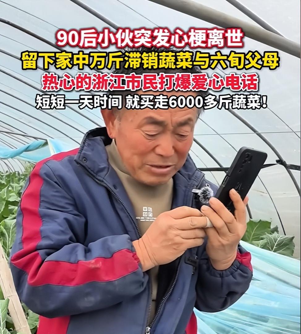 屋漏偏逢连夜雨，丰收季竟遭塌天大祸！菜农王为杰的苦，看得人满心揪疼。

王为杰一