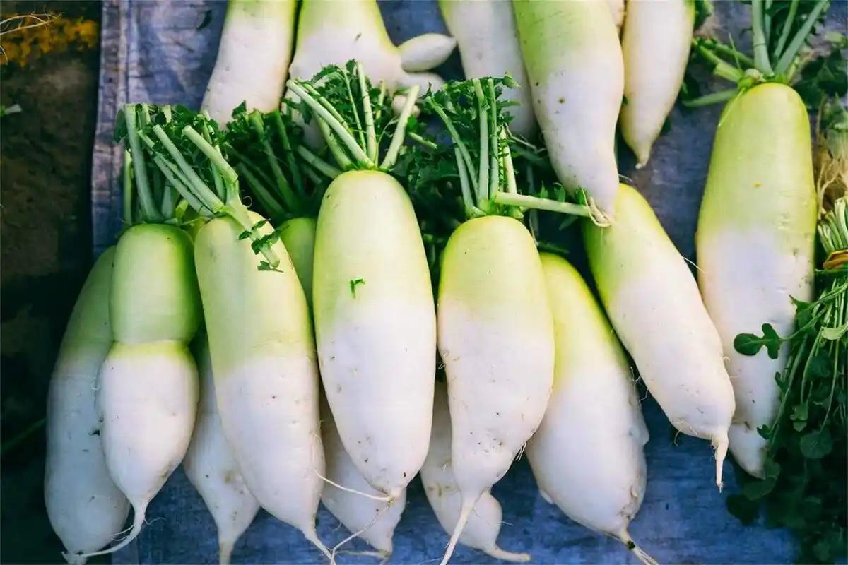 熟吃补气，生吃破气！萝卜的最突出特点是：助消化！
张阿姨吃生萝卜开胃，反倒胀了三