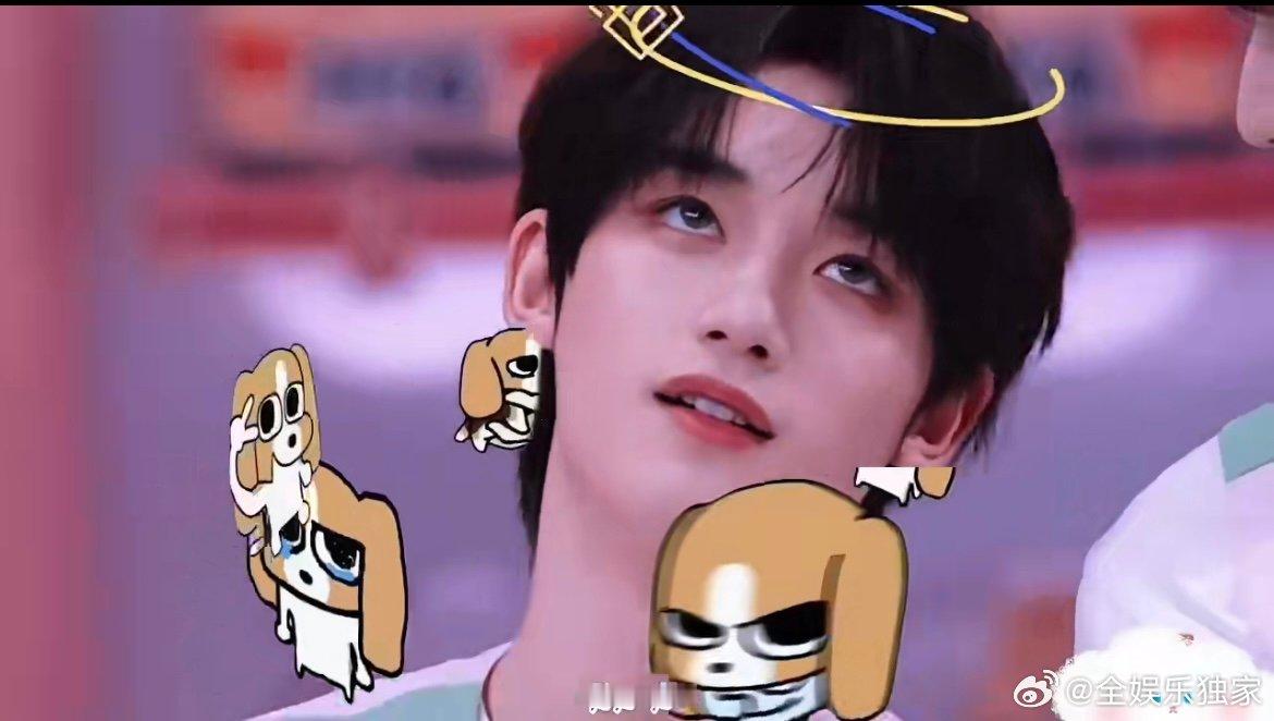 眼神一转就知道在打坏主意，闯祸后立马变身乖宝道歉，这种又坏又萌的比格感，真的让人