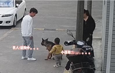 小孩：我给你跪下，能不能饶了我狗兄弟？ 