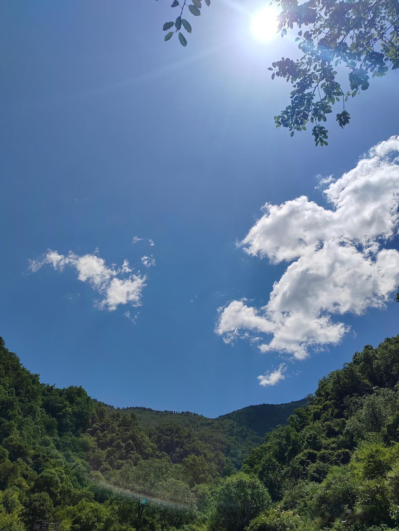 站在山顶，看到眼前的美景，便会不由唱出“蓝蓝的天上白云飘，白云下面马儿跑”的儿歌