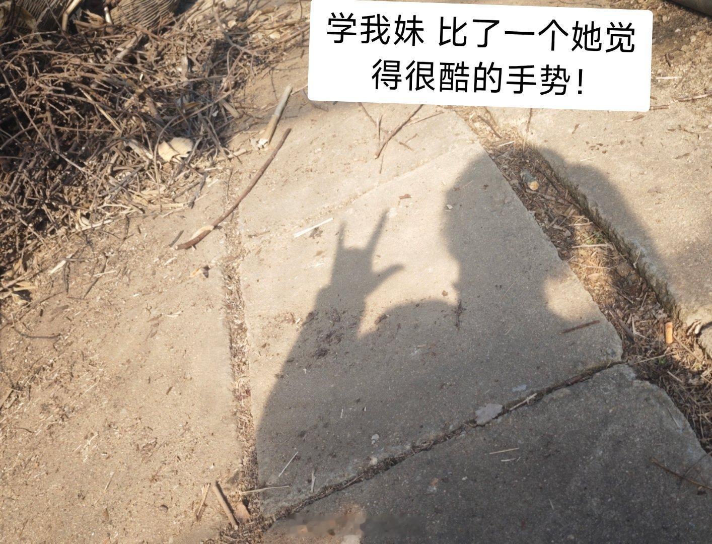 二月是生病吃药病好再吃药的一个月清醒的时间不多 但混乱的大脑思考了很多问题为什么