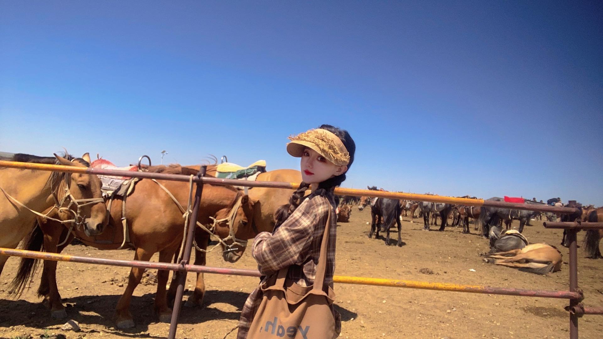 游牧生活 策马奔腾